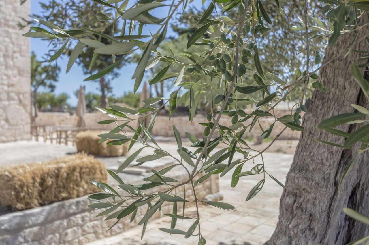 Masseria Fanizzi Conversano Exteriör bild