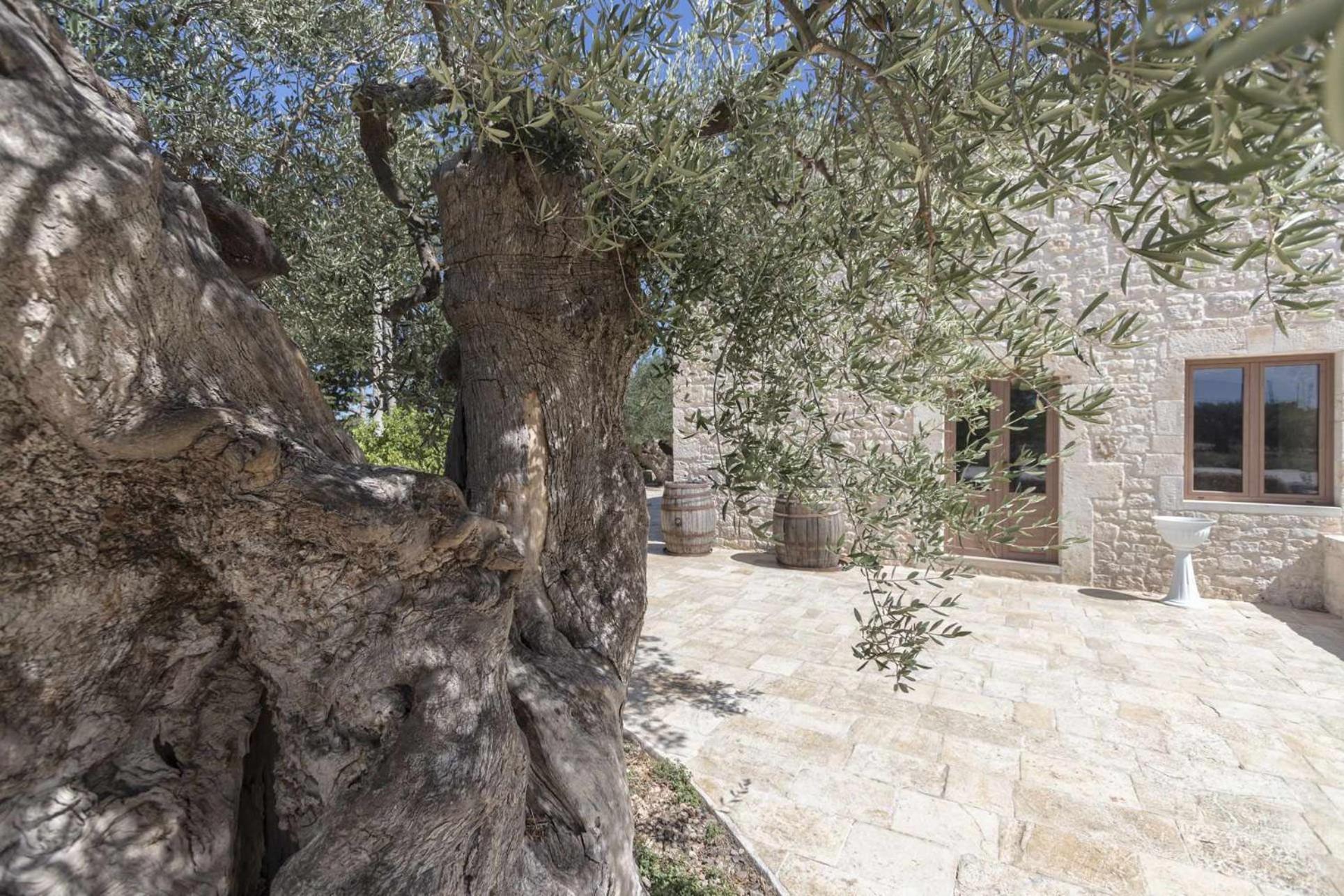 Masseria Fanizzi Conversano Rum bild